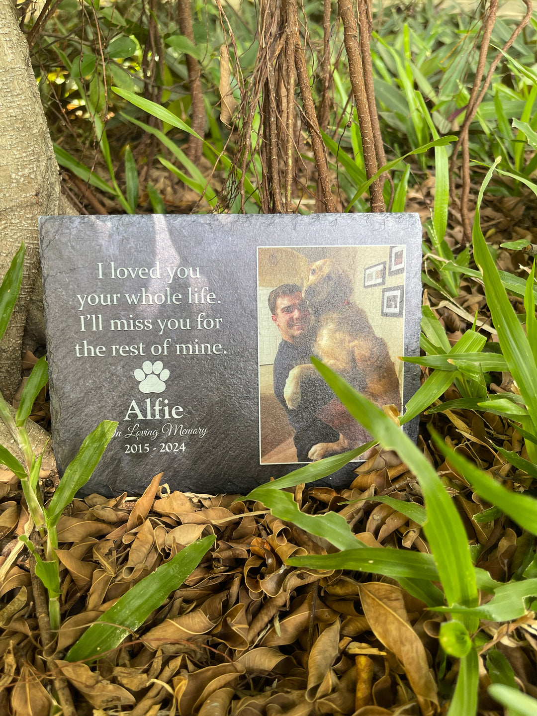 Choosing Eco-Friendly Ways to Memorialize Your Pets