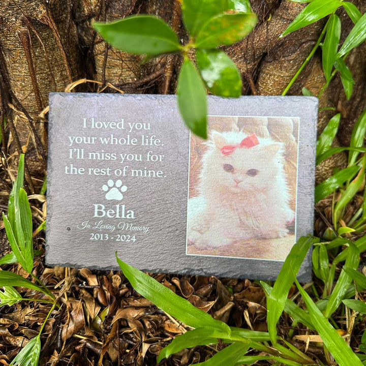 I Loved You Your Whole Life, I'll Miss You For The Rest of Mine- Personalized Cat Memorial Stone