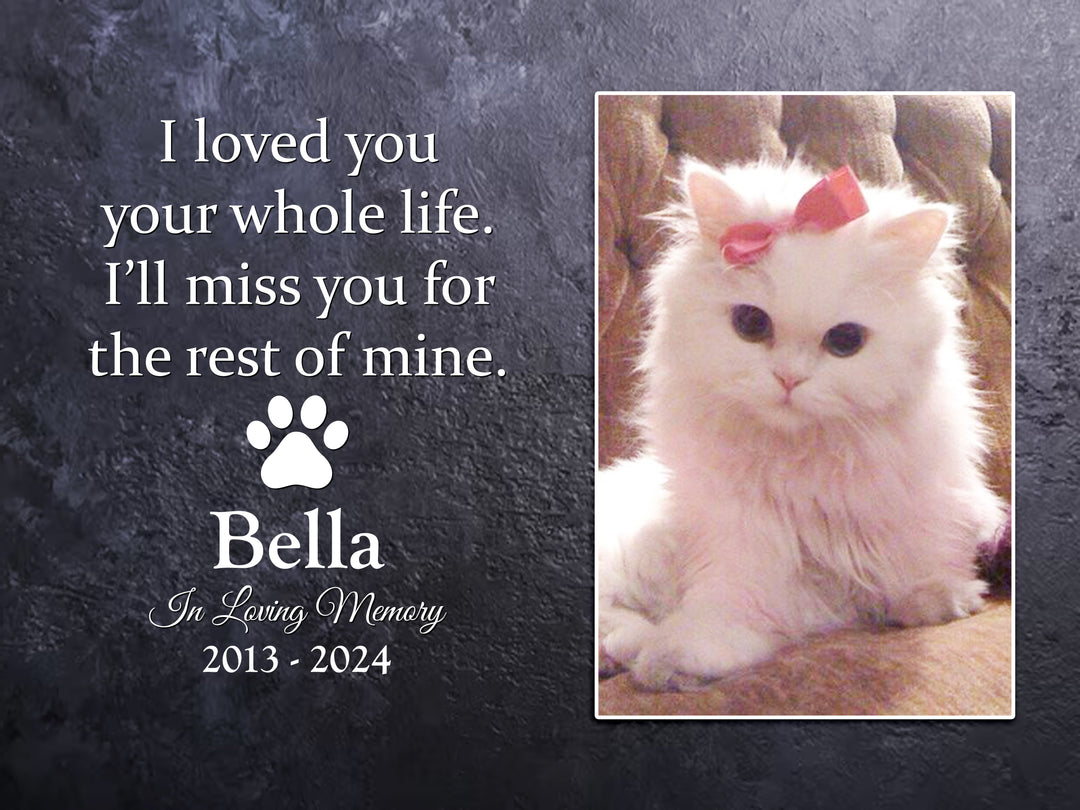 I Loved You Your Whole Life, I'll Miss You For The Rest of Mine- Personalized Cat Memorial Stone