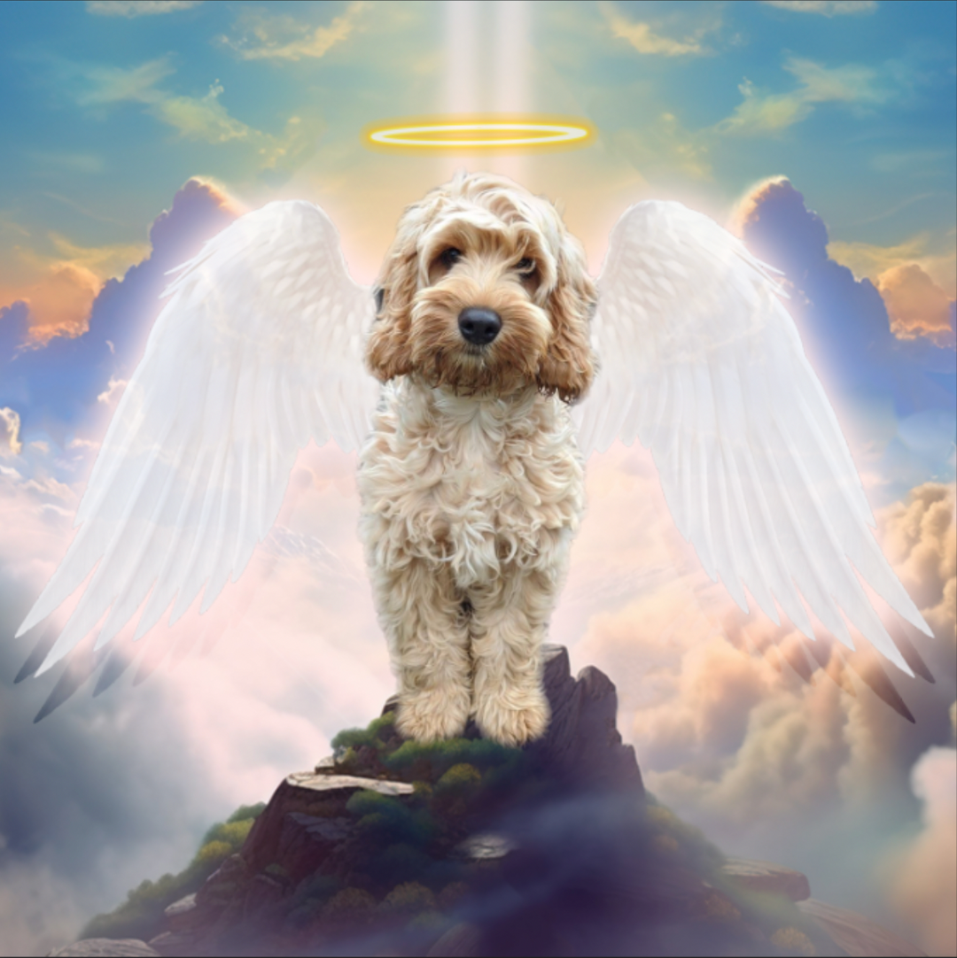 Angel Wings Pet Portrait - Personalized Dog Memorial Gifts
