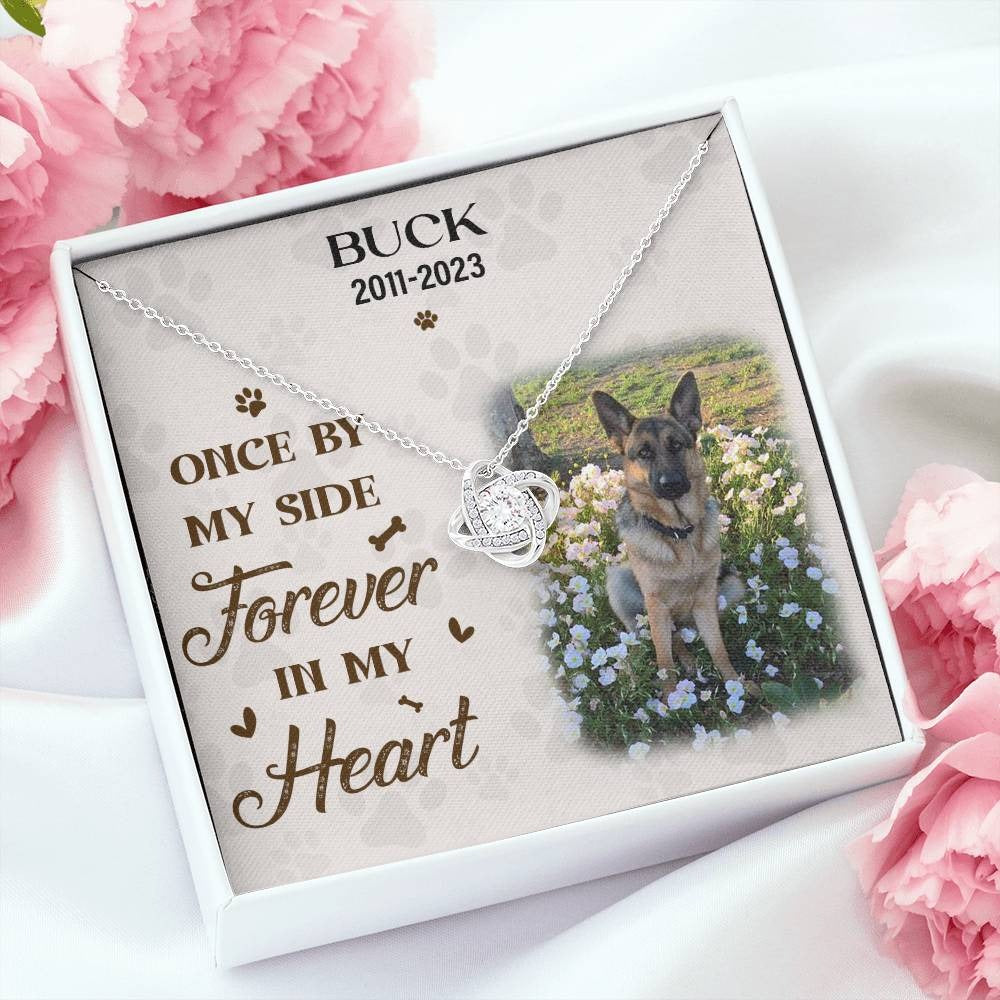 Loss Of Pet Dog Pet Memorial Bracelet - No Longer By My Side But Forever In My Heart | Loss Of Dog Cat Remembrance Jewelry Stainless Steel Pet Memorial Bracelet - Foto 5