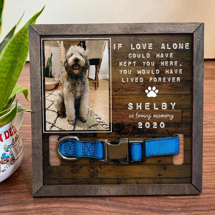 You Would Have Lived Forever Dog Collar Frame - Memorial Picture Frame