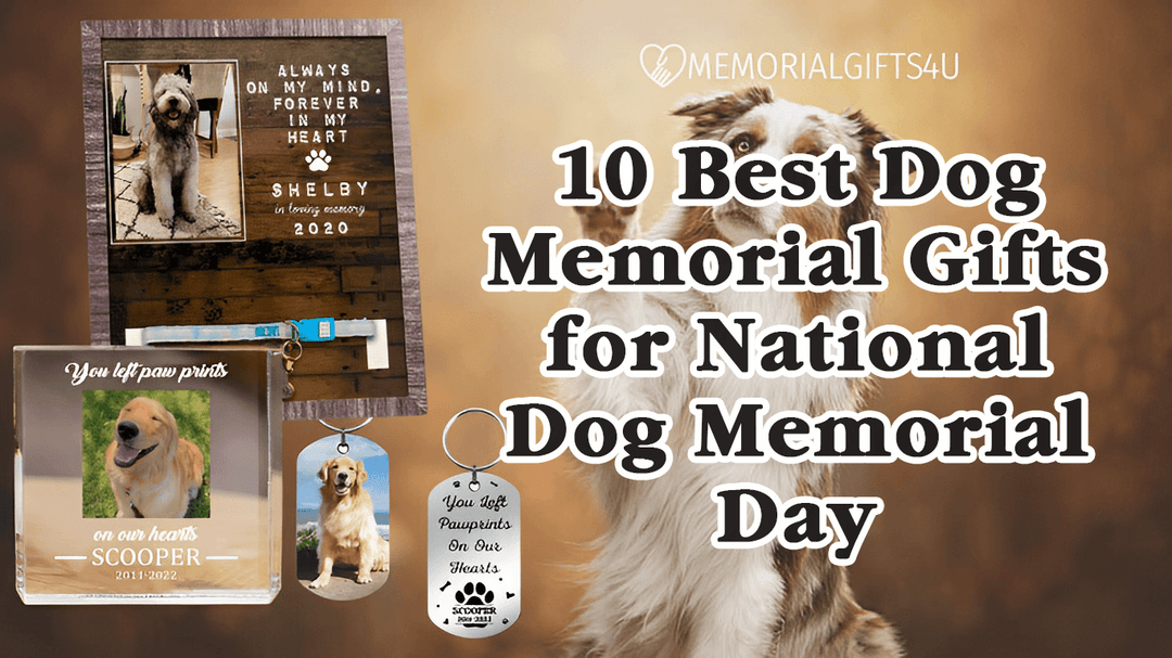 10 Best Dog Memorial Gifts for National Dog Memorial Day - Memorial Gifts 4u