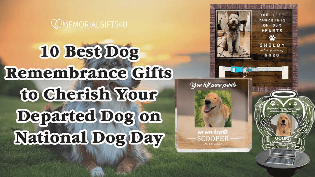 10 Best Dog Remembrance Gifts to Cherish Your Departed Dog on National Dog Day - Memorial Gifts 4u