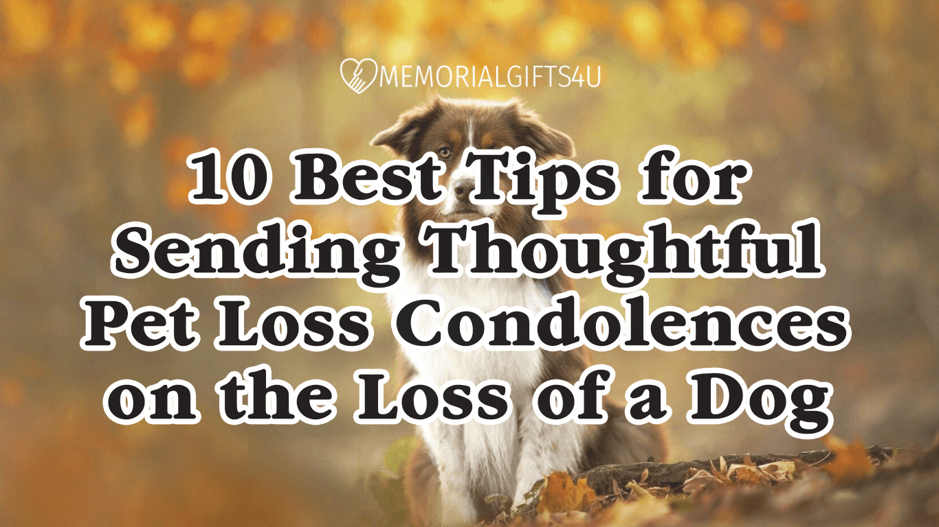 10 Best Tips for Sending Thoughtful Pet Loss Condolences on the Loss o ...