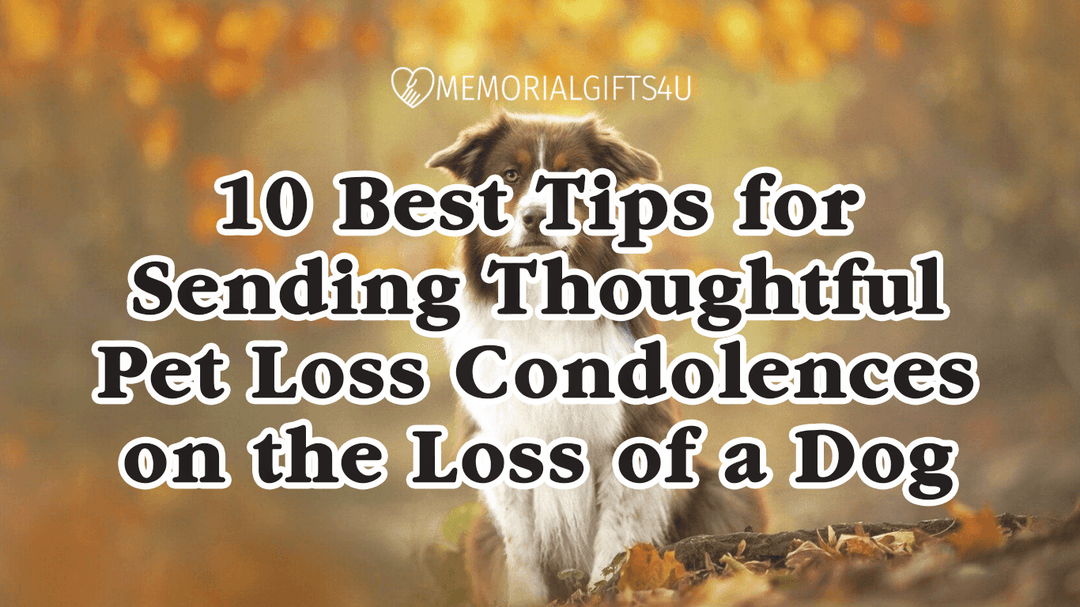 10 Best Tips for Sending Thoughtful Pet Loss Condolences on the Loss of a Dog - Memorial Gifts 4u