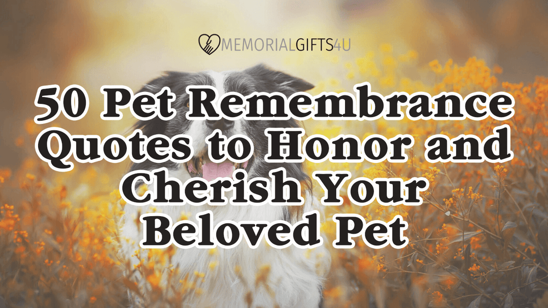 50 Pet Remembrance Quotes to Honor and Cherish Your Beloved Pet - Memorial Gifts 4u