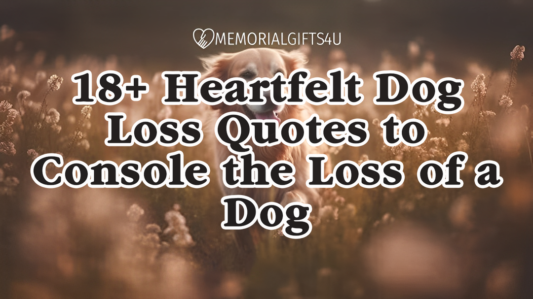 18+ Heartfelt Dog Loss Quotes to Console the Loss of a Dog