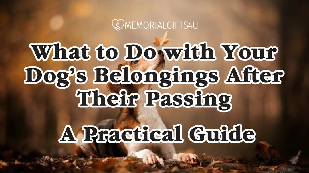 What to Do with Your Dog's Belongings After Their Passing: A Practical Guide