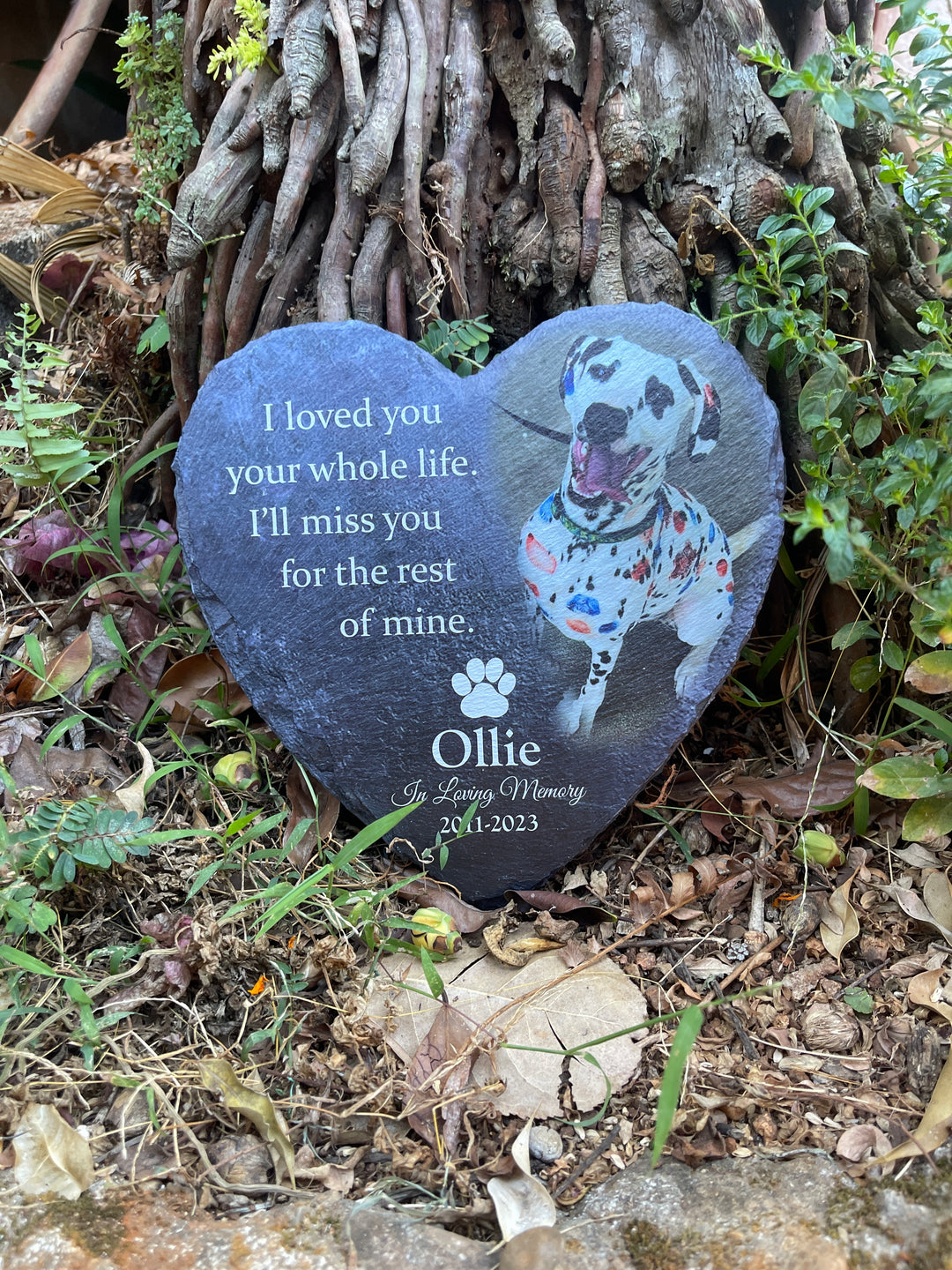Memorial Gardens and Spaces for Your Beloved Pet