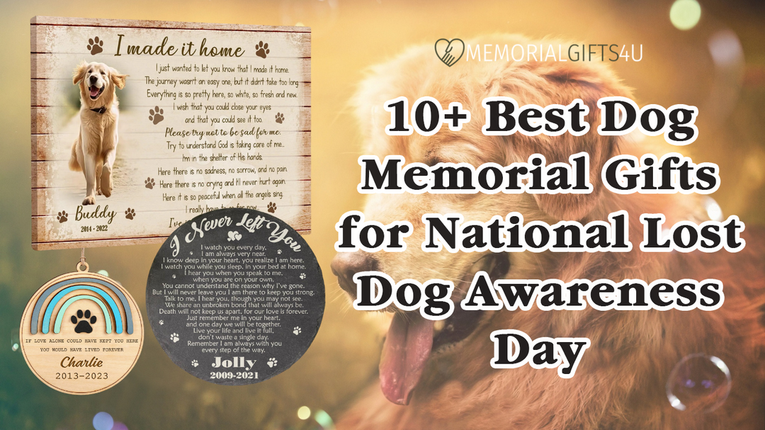 10+ Best Dog Memorial Gifts for National Lost Dog Awareness Day