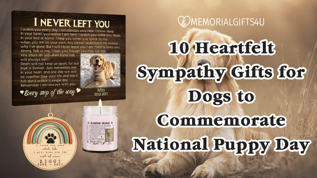 10 Heartfelt Sympathy Gifts for Dogs to Commemorate National Puppy Day