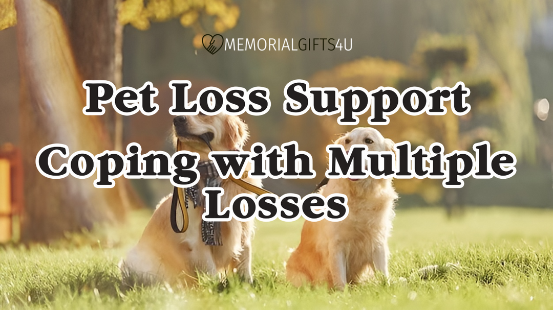 Pet Loss Support: Coping with Multiple Losses