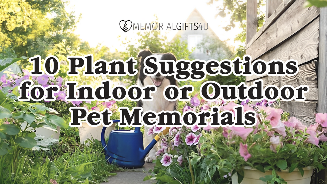 10 Plant Suggestions for Indoor or Outdoor Pet Memorials