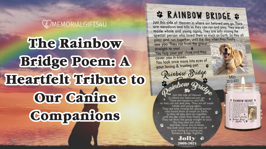The Rainbow Bridge Poem: A Heartfelt Tribute to Our Canine Companions