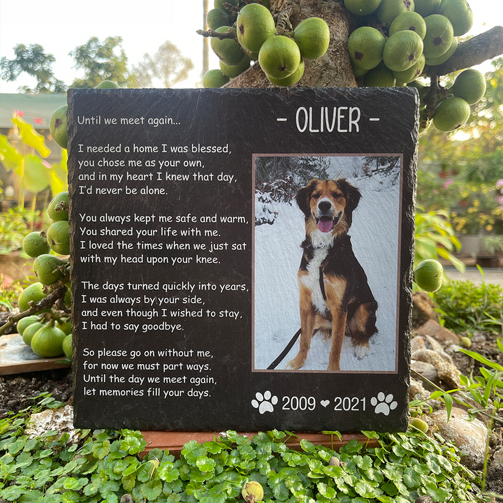 Until We Meet Again- Personalized Dog Memorial Stone