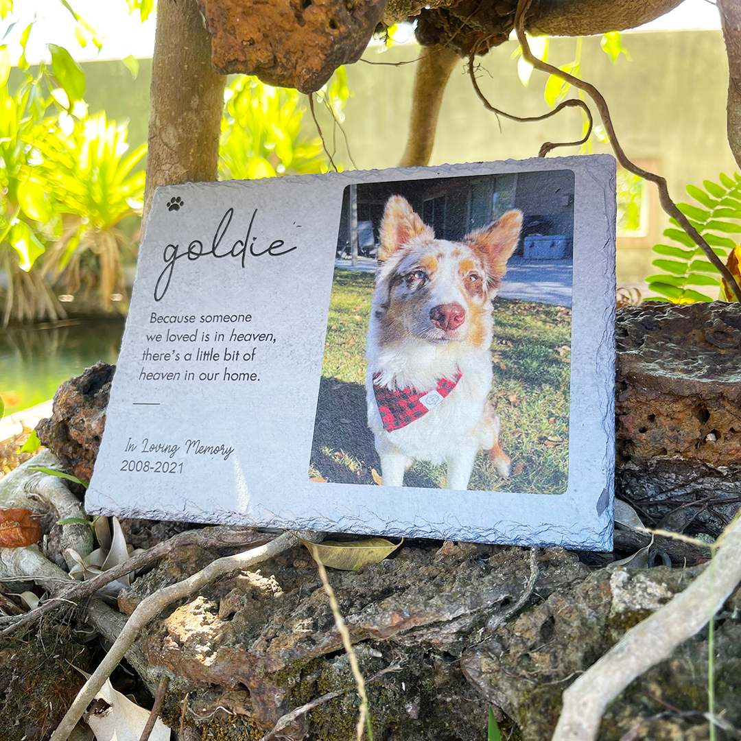 Because Someone We Love is in Heaven - Personalized Dog Memorial Stone