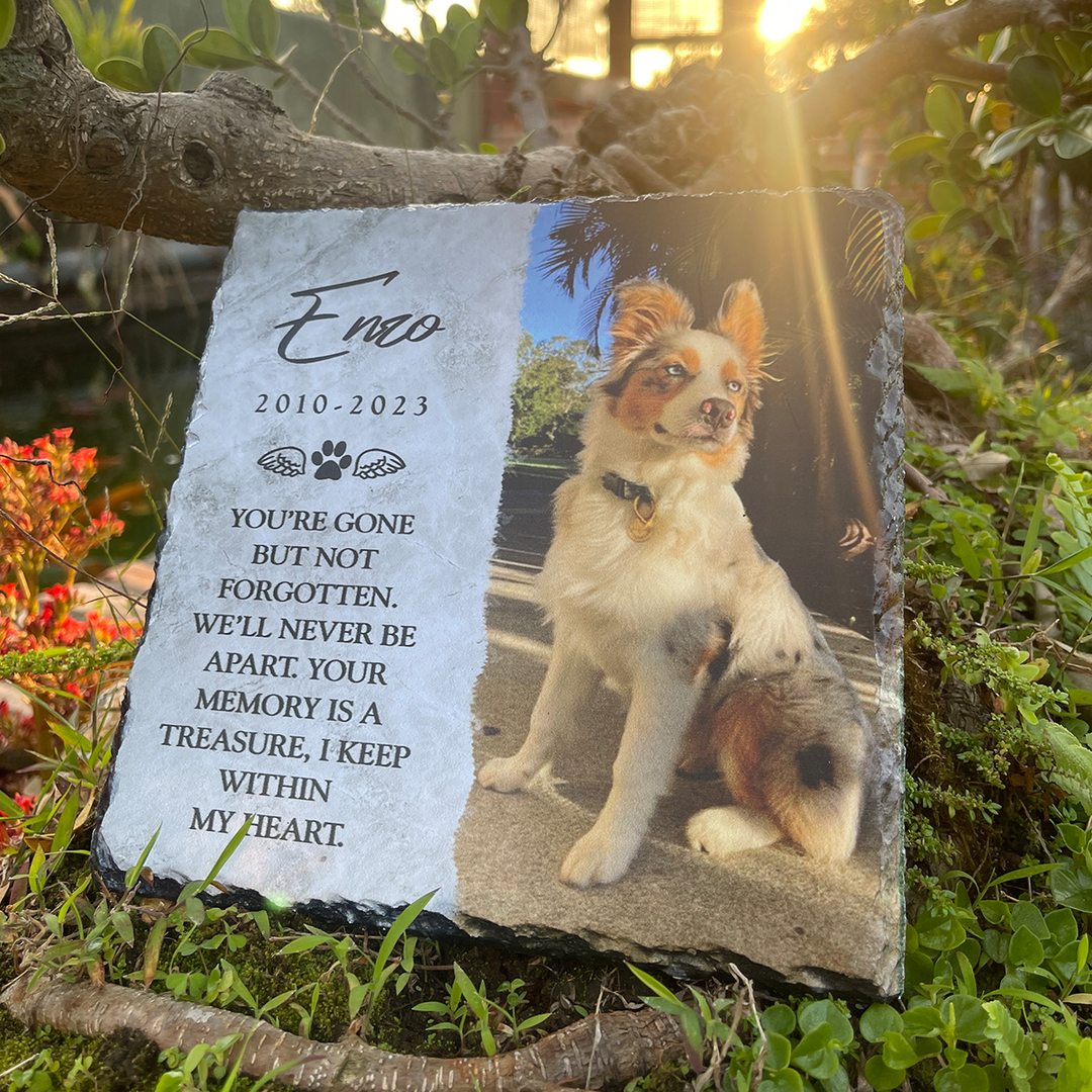 You're Gone But Not Forgotten- Personalized Dog Memorial Stone