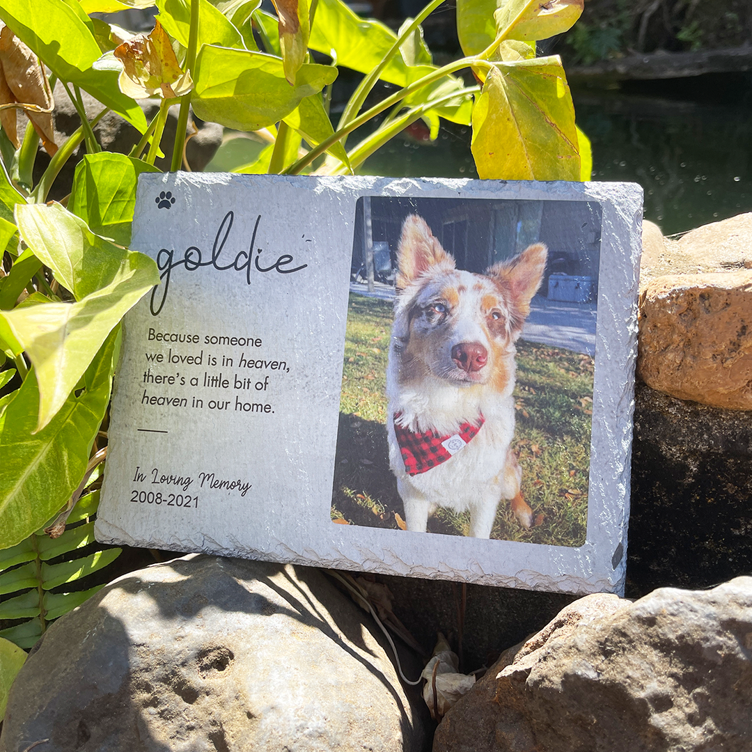 Because Someone We Love is in Heaven - Personalized Dog Memorial Stone