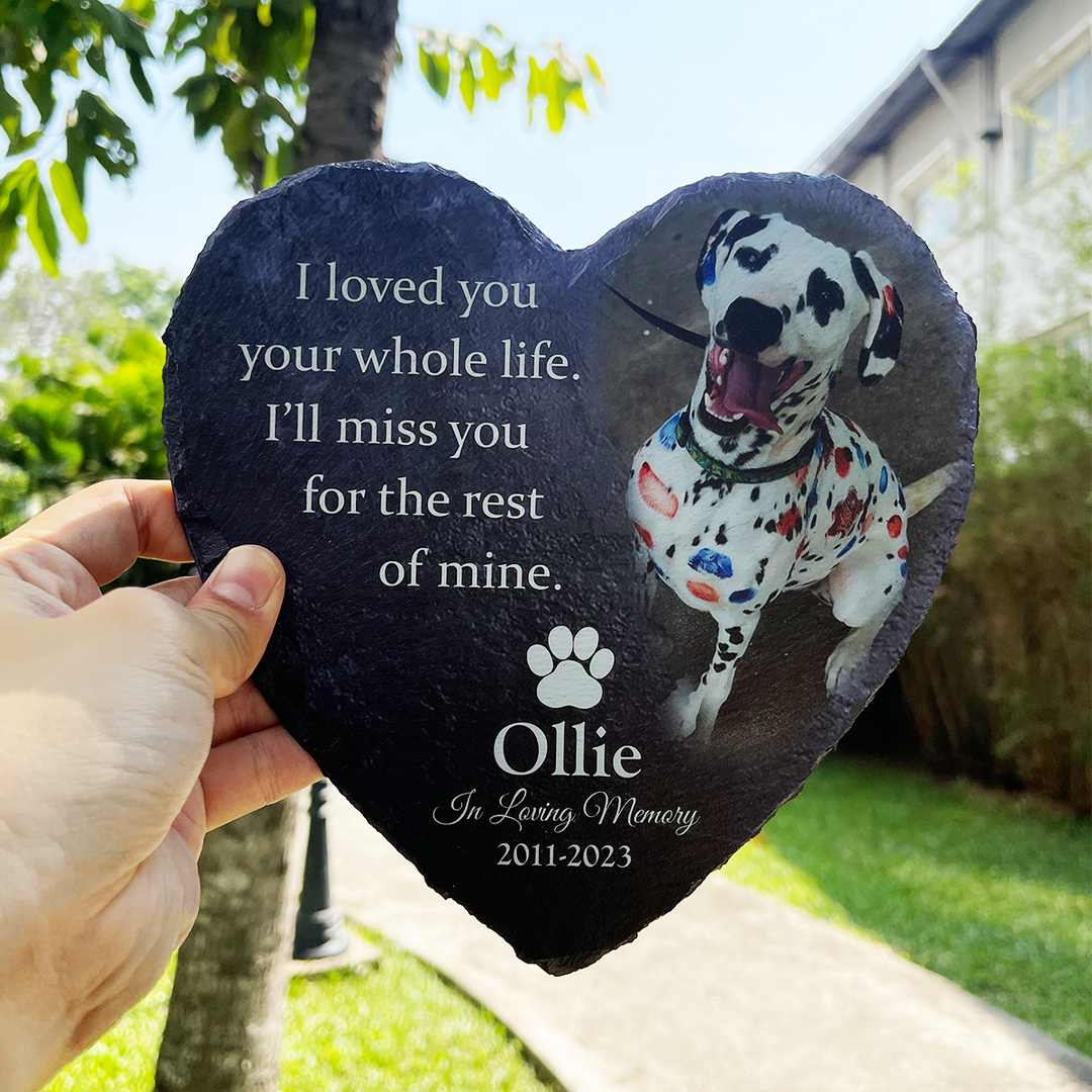 Pet Memorial Gift, Loved You Your Whole Life, Pet Sympathy, Free  Personalization, Pet Loss Frame, Dog Memorial Gift, Clip Frame -  Canada