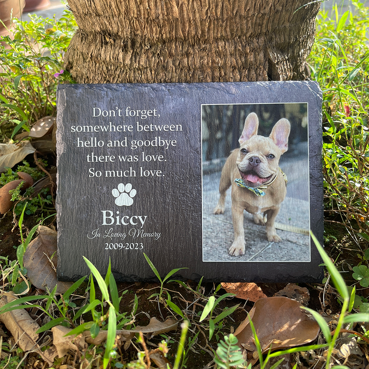 Don't Forget, Somewhere Between Hello And Goodbye There Was Love - Personalized Memorial Stone