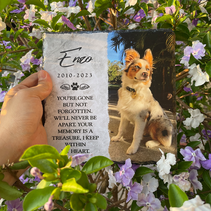 You're Gone But Not Forgotten- Personalized Dog Memorial Stone