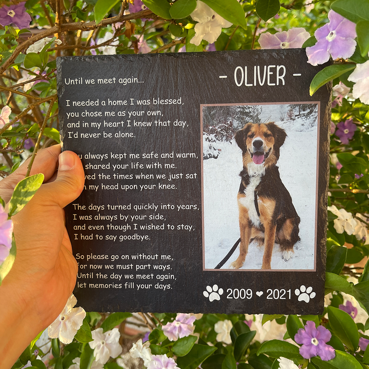 Until We Meet Again- Personalized Dog Memorial Stone