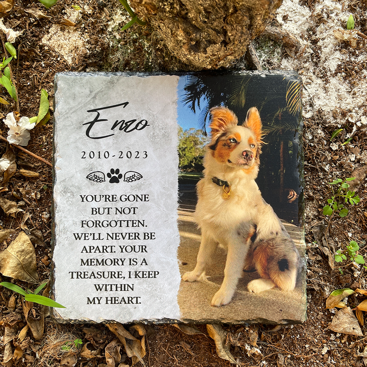 You're Gone But Not Forgotten- Personalized Dog Memorial Stone