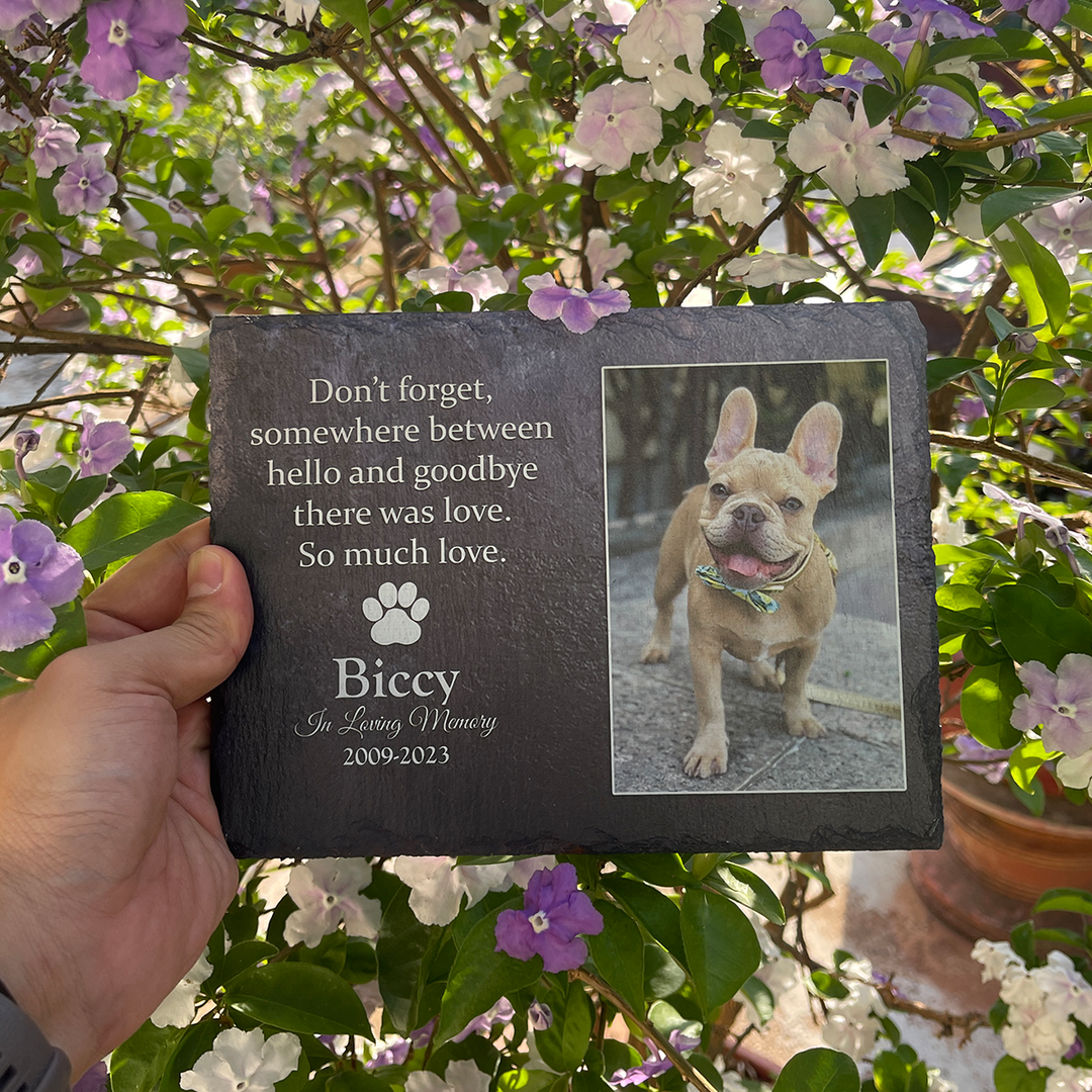 Don't Forget, Somewhere Between Hello And Goodbye There Was Love - Personalized Memorial Stone