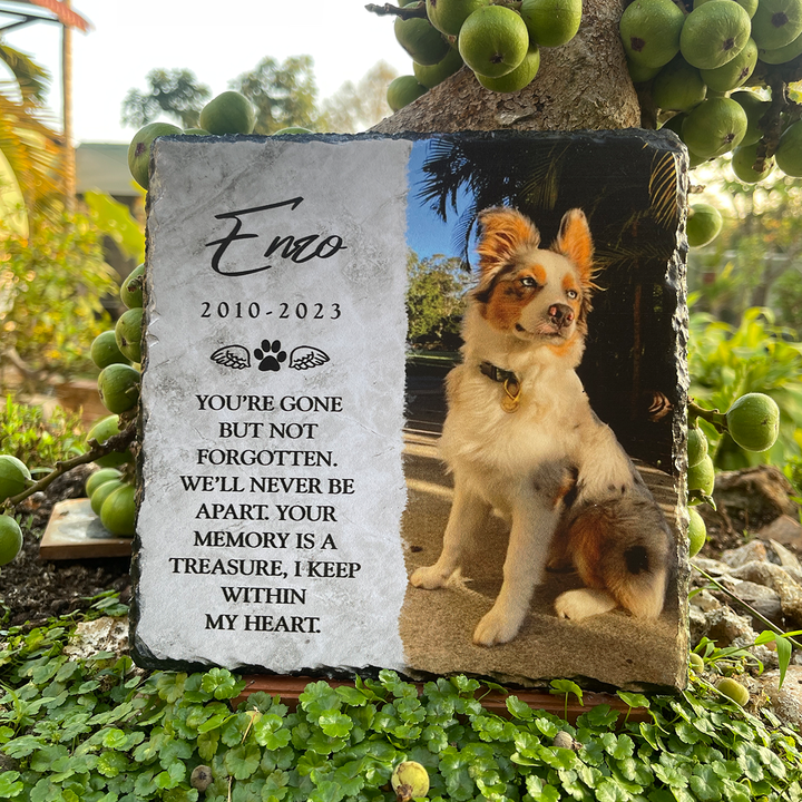 You're Gone But Not Forgotten- Personalized Dog Memorial Stone