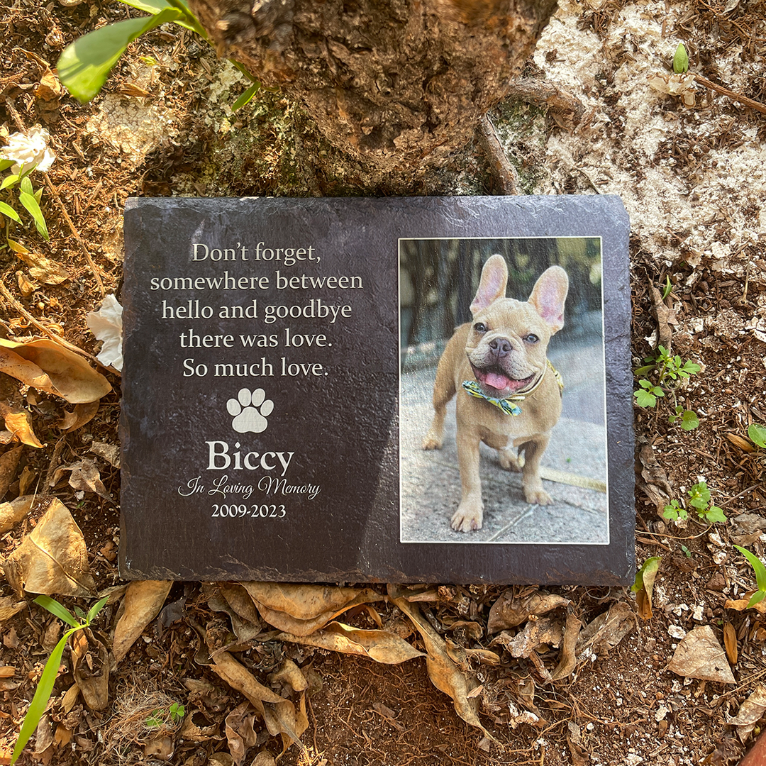 Don't Forget, Somewhere Between Hello And Goodbye There Was Love - Personalized Memorial Stone