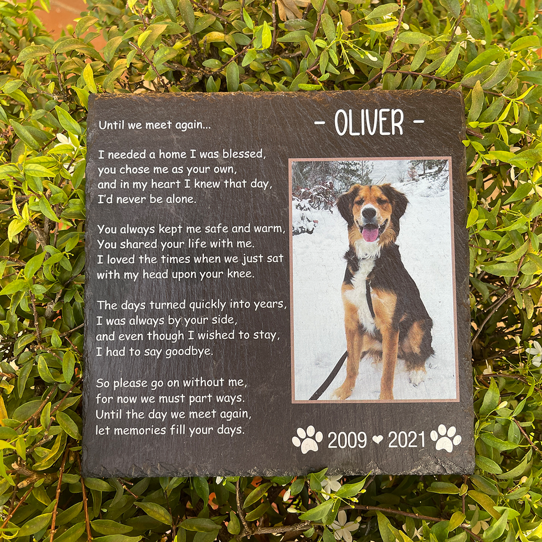 Until We Meet Again- Personalized Dog Memorial Stone