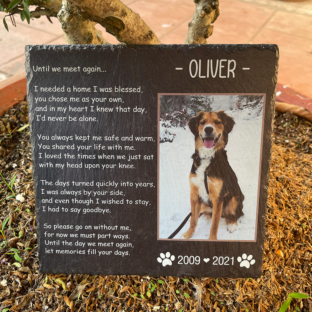 Until We Meet Again- Personalized Dog Memorial Stone