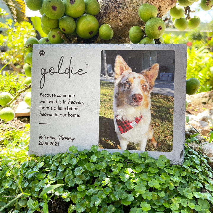 Because Someone We Love is in Heaven - Personalized Dog Memorial Stone