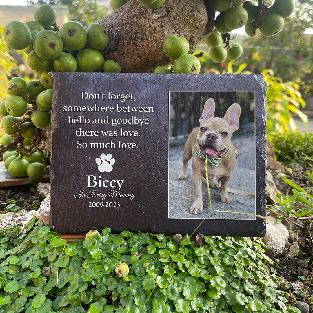 Don't Forget, Somewhere Between Hello And Goodbye There Was Love - Personalized Memorial Stone