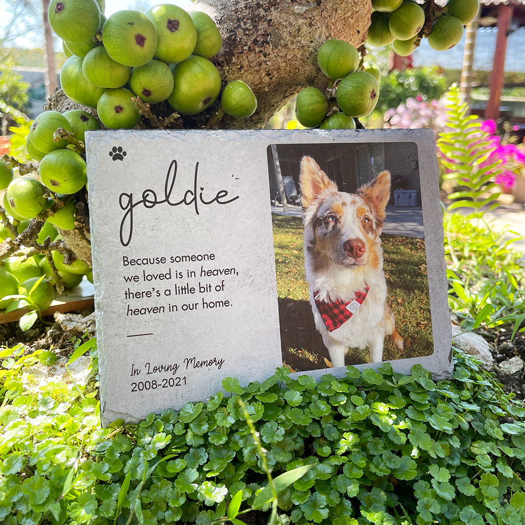 Because Someone We Love is in Heaven - Personalized Dog Memorial Stone