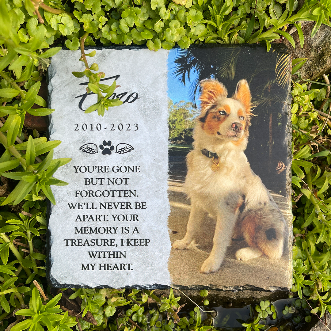 You're Gone But Not Forgotten- Personalized Dog Memorial Stone