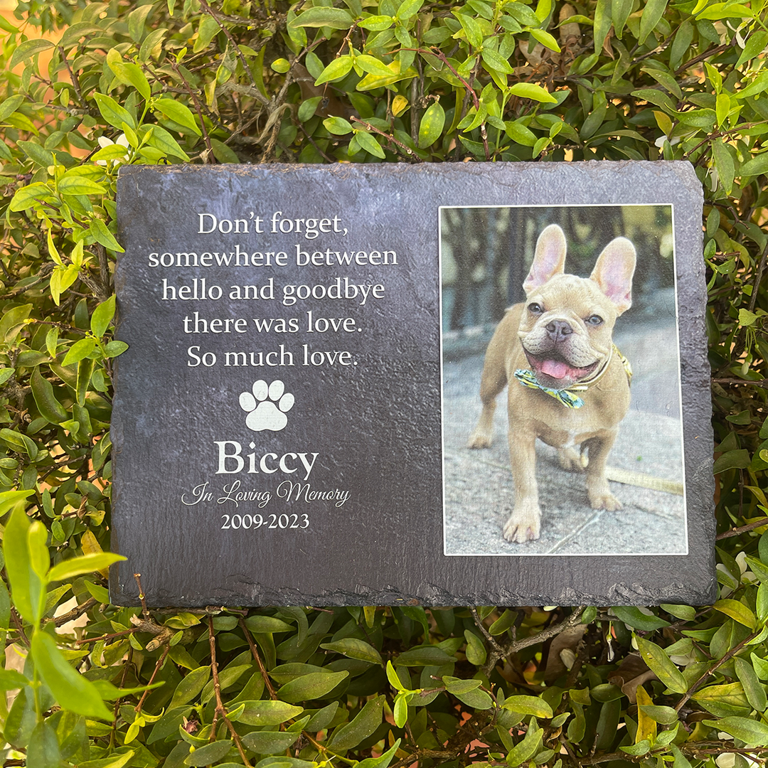 Don't Forget, Somewhere Between Hello And Goodbye There Was Love - Personalized Memorial Stone