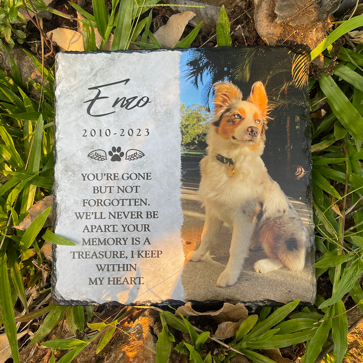 You're Gone But Not Forgotten- Personalized Dog Memorial Stone