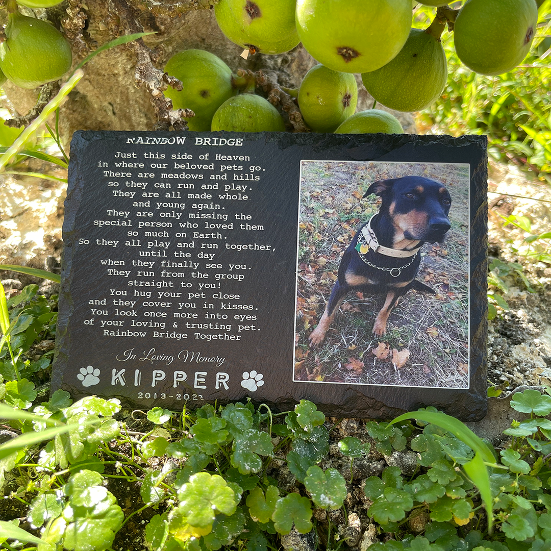 Rainbow Bridge Poem - Personalized Dog Memorial Stone