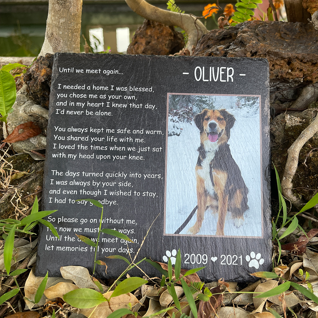 Until We Meet Again- Personalized Dog Memorial Stone