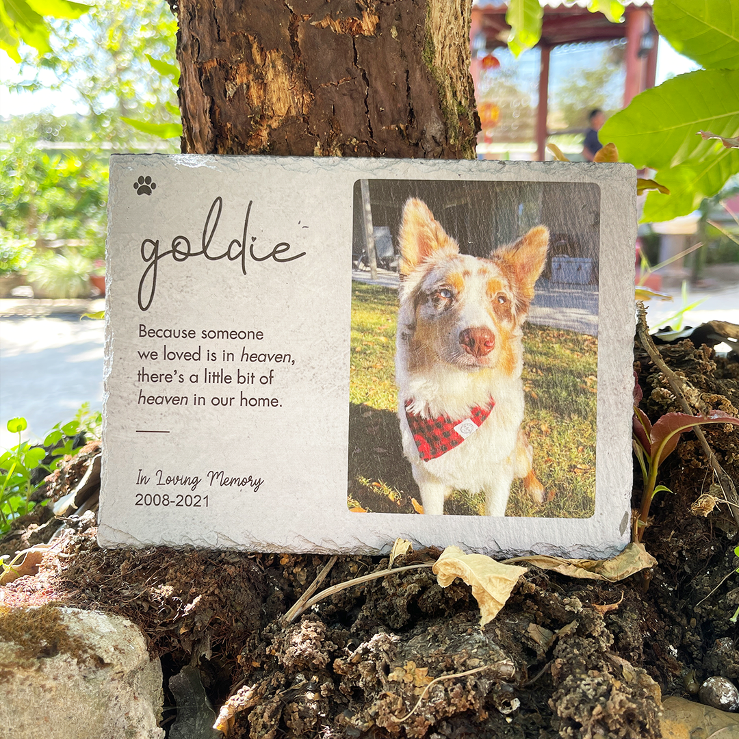 Because Someone We Love is in Heaven - Personalized Dog Memorial Stone