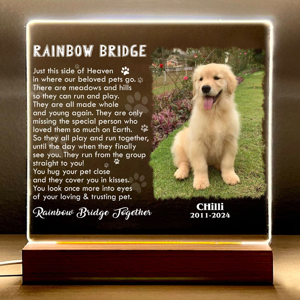 Cat Memorial Garden Stake Dog Memorial Slate Plaque I Crossed The ...