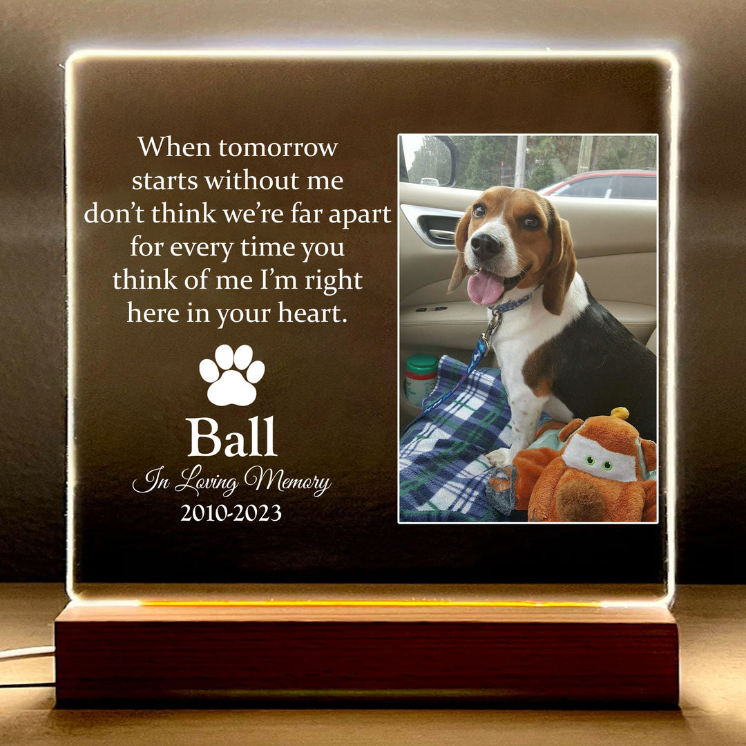 When Tomorrow Starts Without Me Dog Memorial Gifts - Acrylic Square Plaque