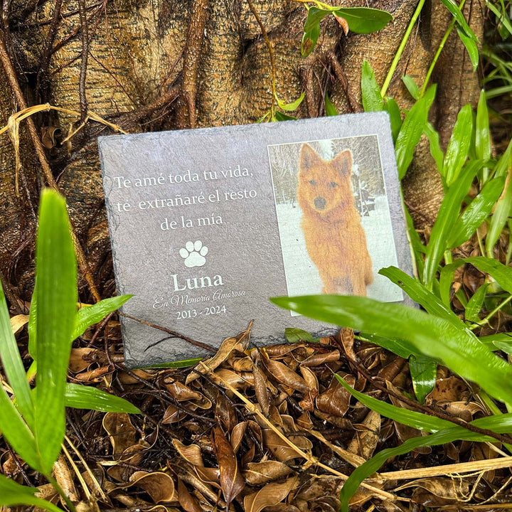 Te amé toda tu vida, te  extranaré el resto de la mía- Personalized Dog Memorial Stone