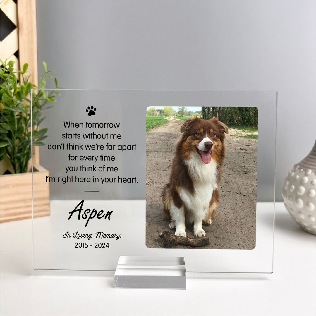 When Tomorrow Starts Without Me Dog Memorial Gifts - Memorial Plaques