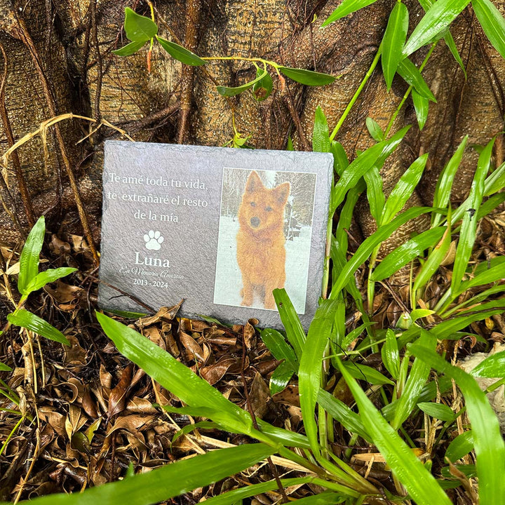 Te amé toda tu vida, te  extranaré el resto de la mía- Personalized Dog Memorial Stone