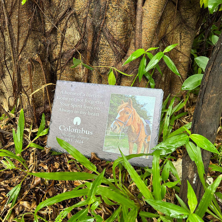 A Horse Of A Lifetime- Personalized Horse Memorial Stone