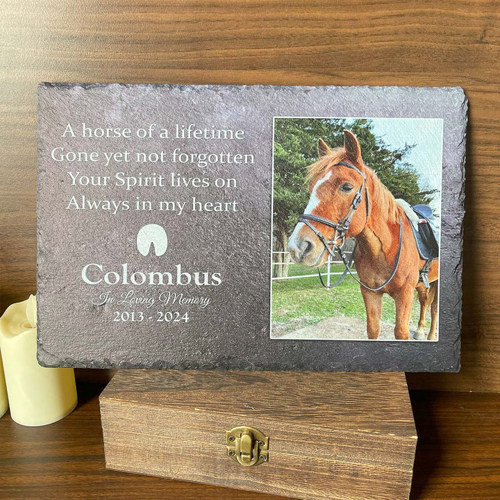 A Horse Of A Lifetime- Personalized Horse Memorial Stone