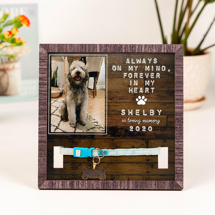 Always On My Mind Dog Collar Frame - Memorial Picture Frame